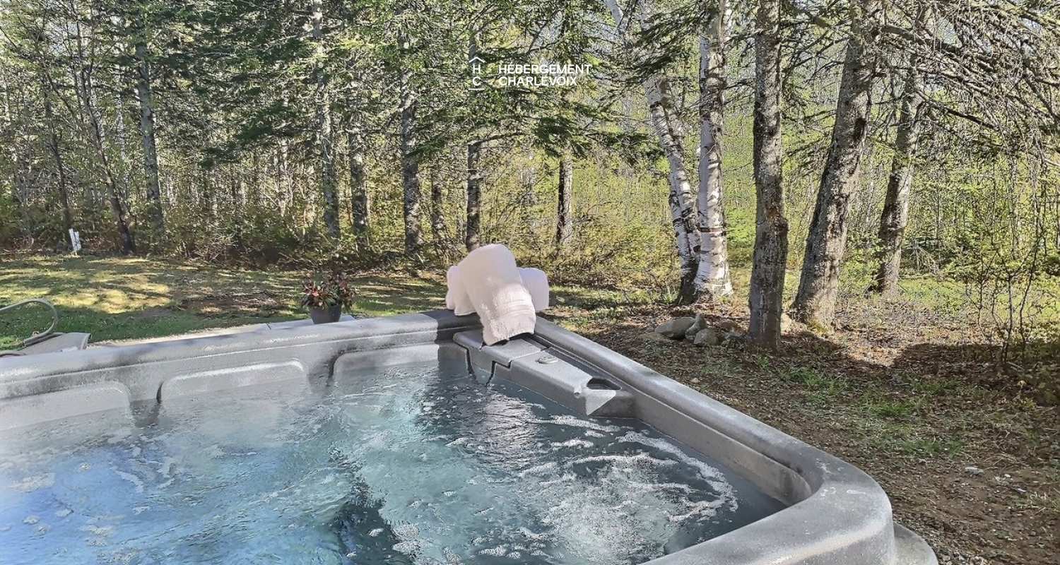 BOI-2 - Large chalet with billiards, spa and nature